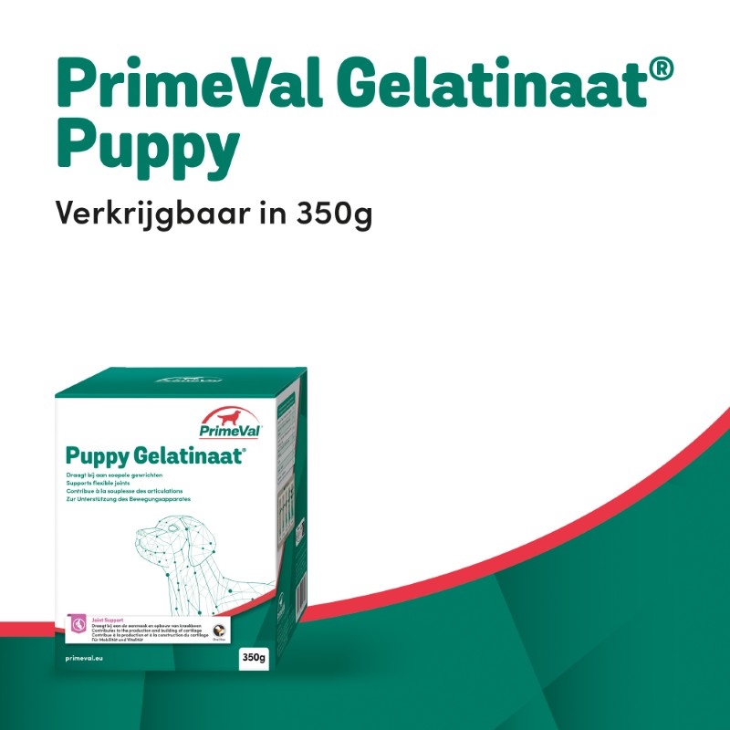 Primeval Puppy Gelatinaat 350 gram
