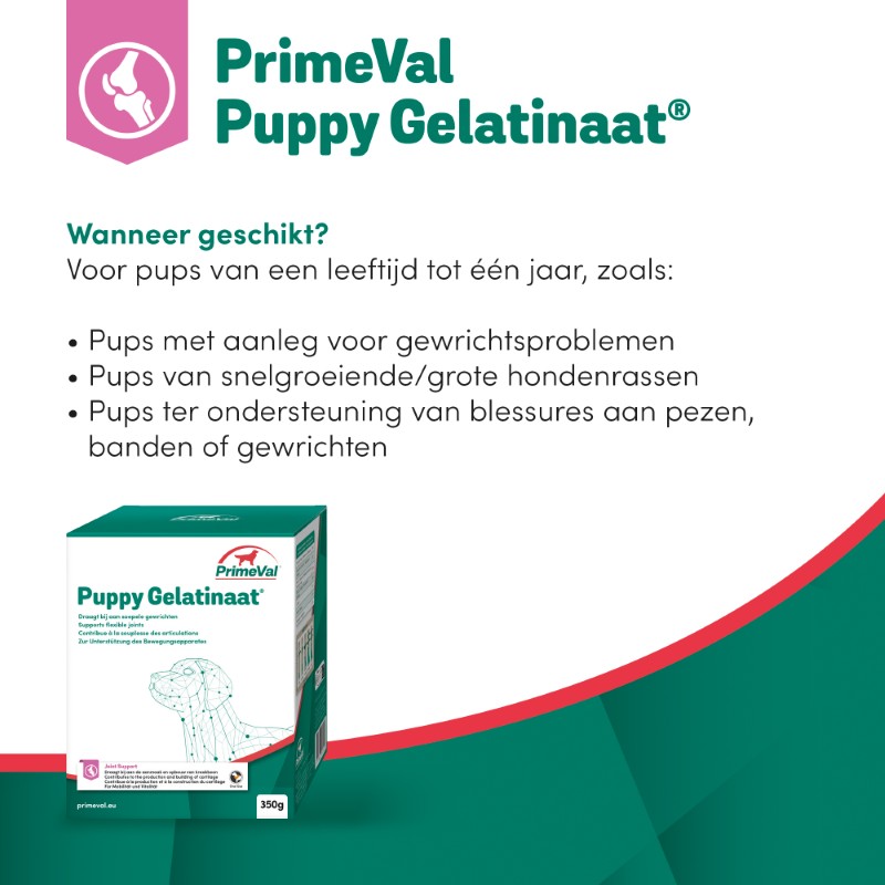 Primeval Puppy Gelatinaat 350 gram