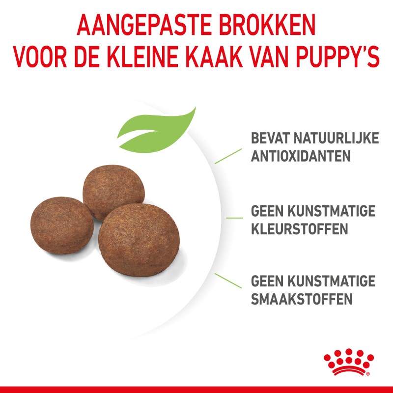 Royal Canin Puppy Medium