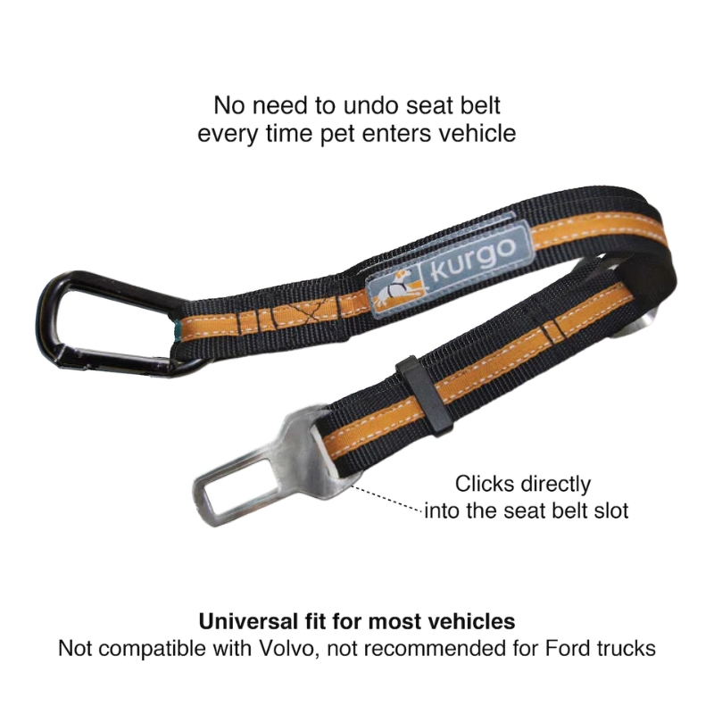 Kurgo Direct To Seatbelt Tether Oranje-zwart