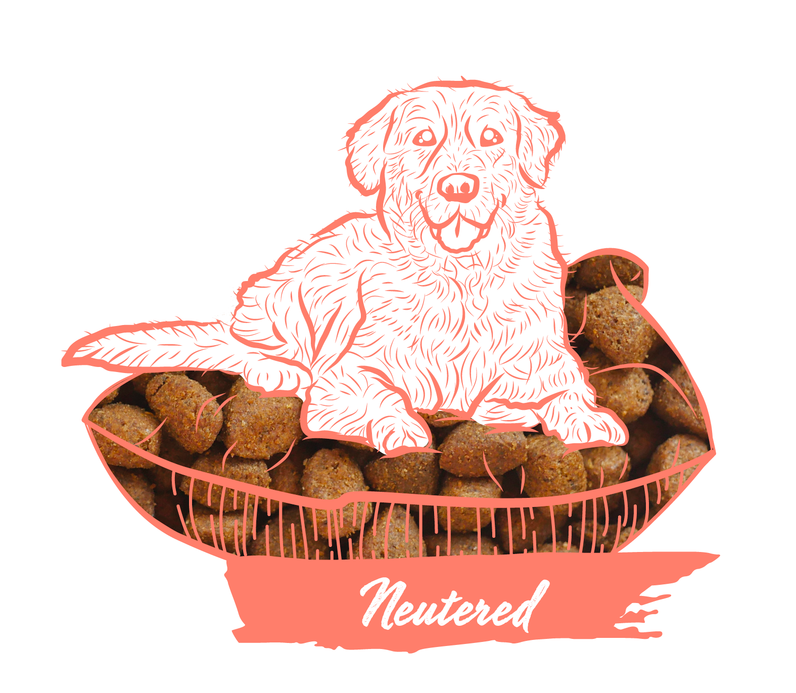 Calibra Dog Expert Nutrition Neutered 