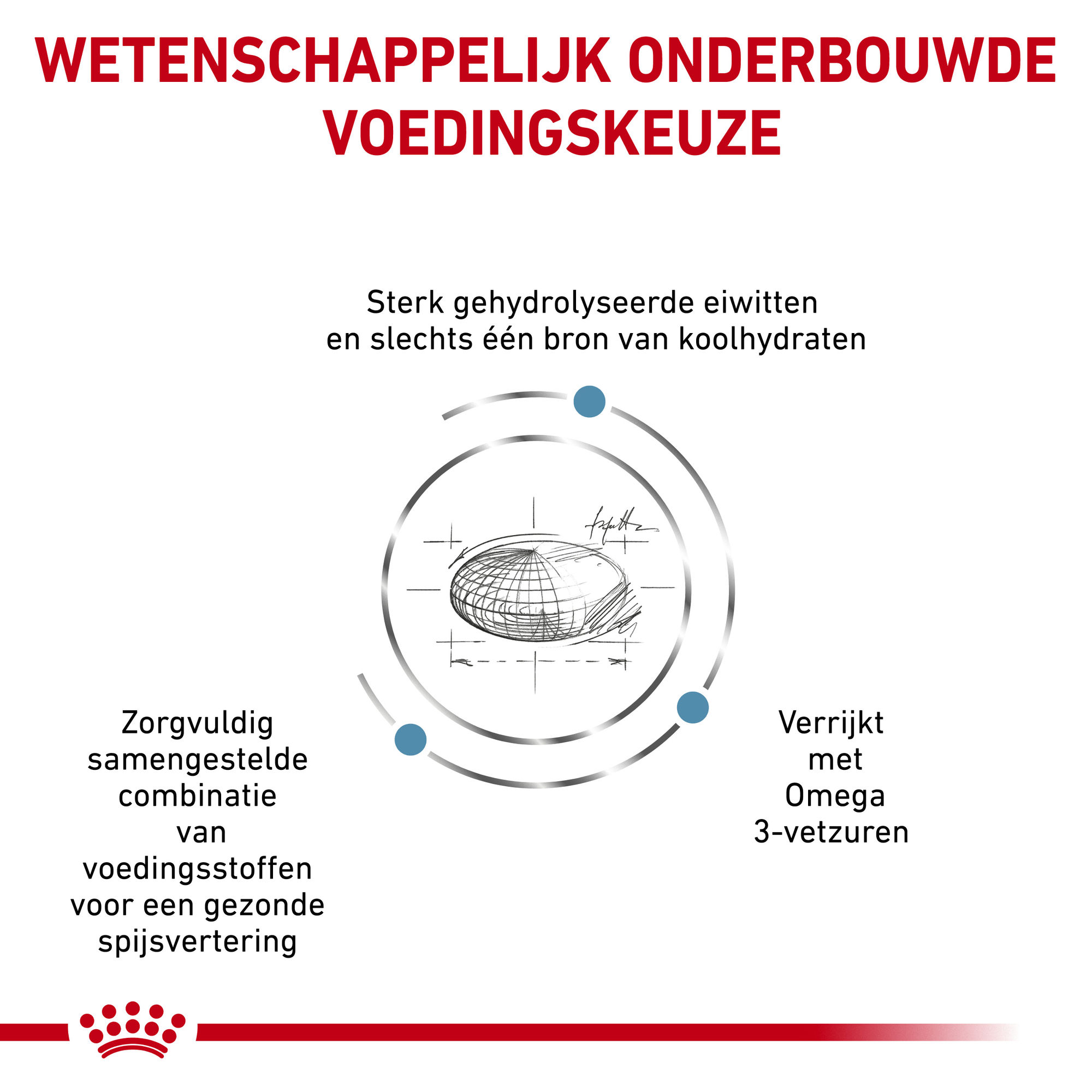 Royal Canin Hypoallergenic Hond 