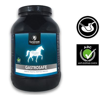 Synovium Gastrosafe Maag Paard 1.5 kg, Kruik, Fles, Shaker