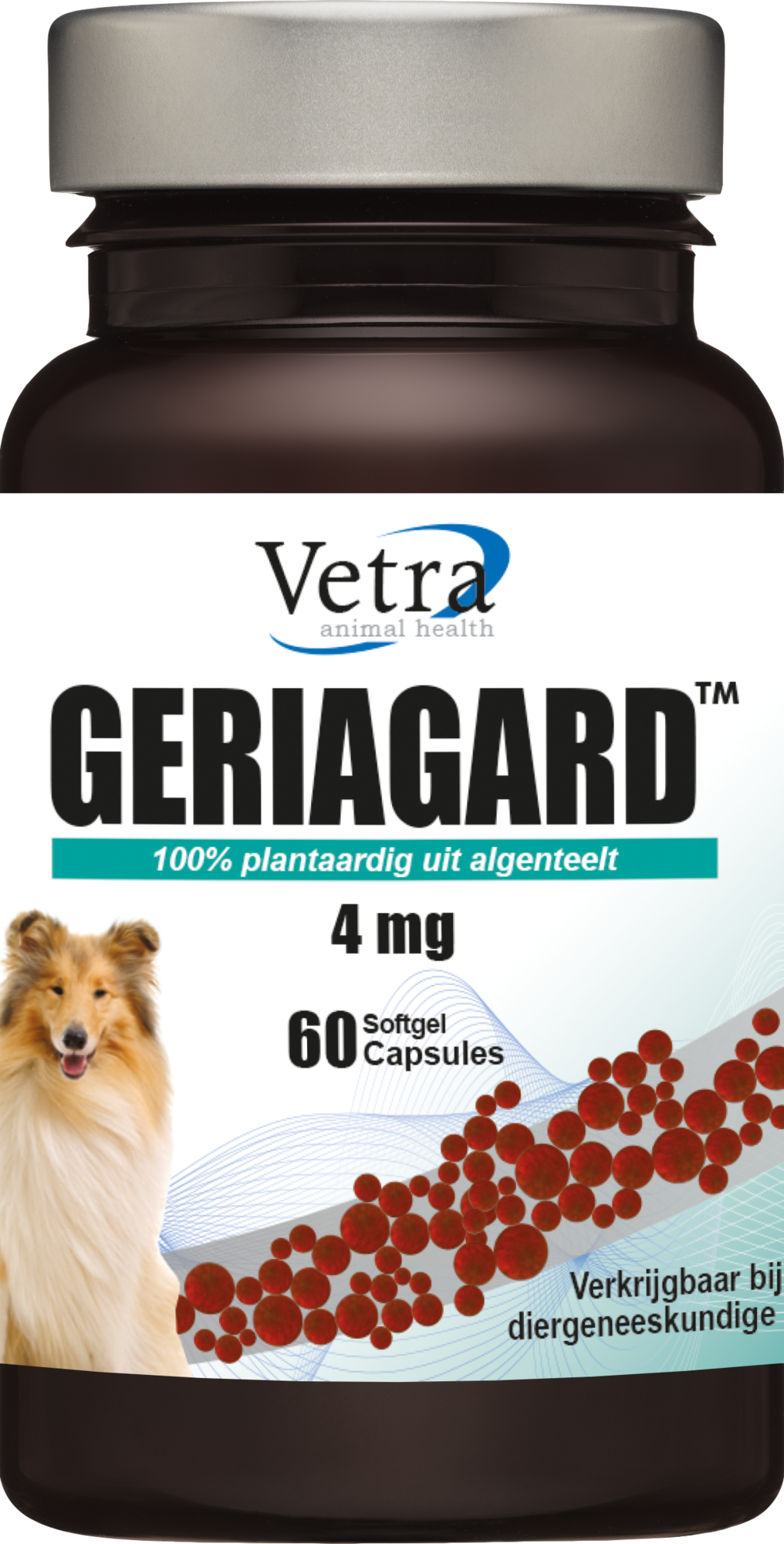 Vetra Geriagard Hond Kat 60 capsules