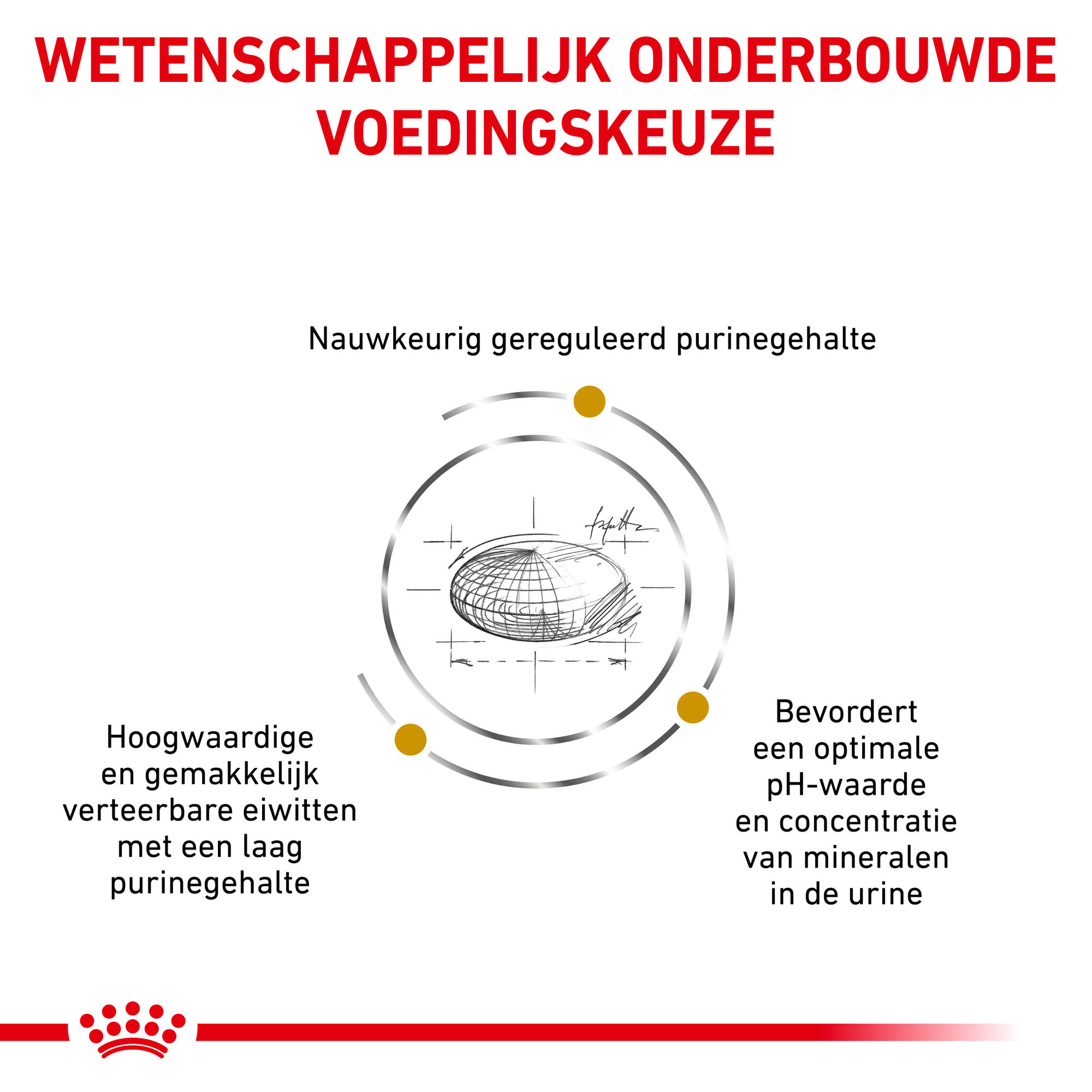Royal Canin Urinary UC Low Purine Hond 