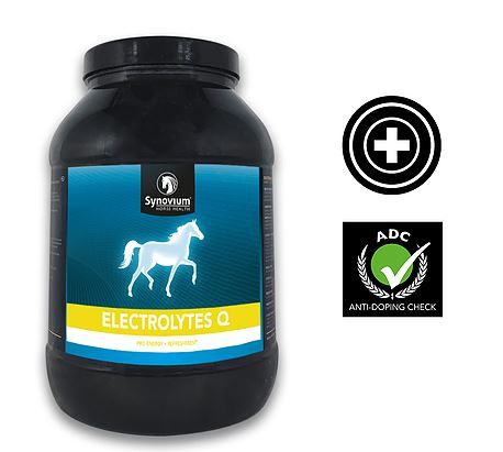 Synovium Electrolytes Q Paard 2.5 kg, Kruik, Fles