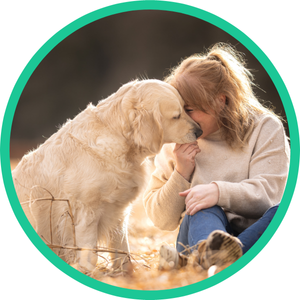 Persoon, Hondje, Hond, Golden Retriever, Fotografie