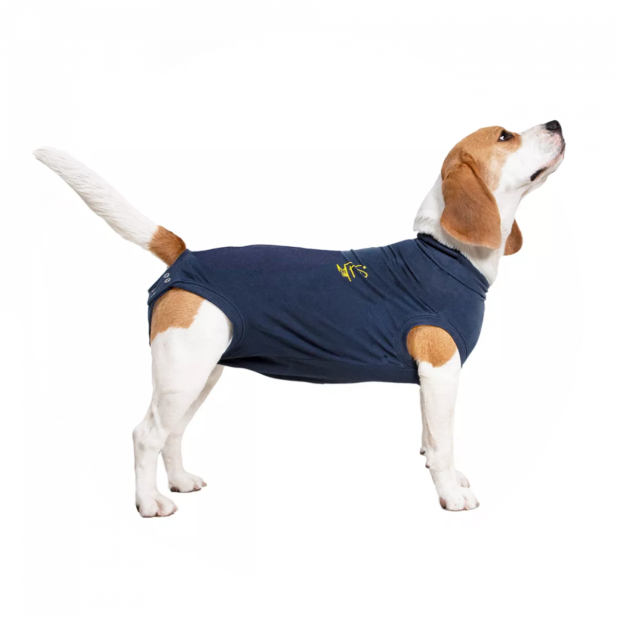 Medical Pet Shirt Hond