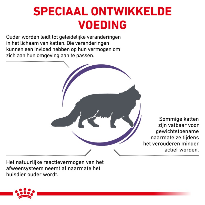 Royal Canin Mature Consult Balance Kat 10 kg