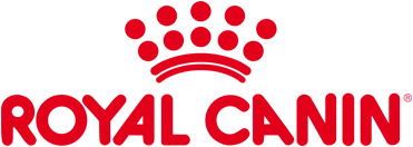 Logo, Licht