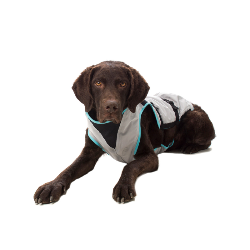 Dry Cooling Vest Hond 