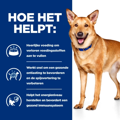 Hill's Prescription Diet ID Digestive Care Hondenvoer 12 x 360 gram blikjes, Advertentie, Poster, Hond, Zoogdier, Huisdier