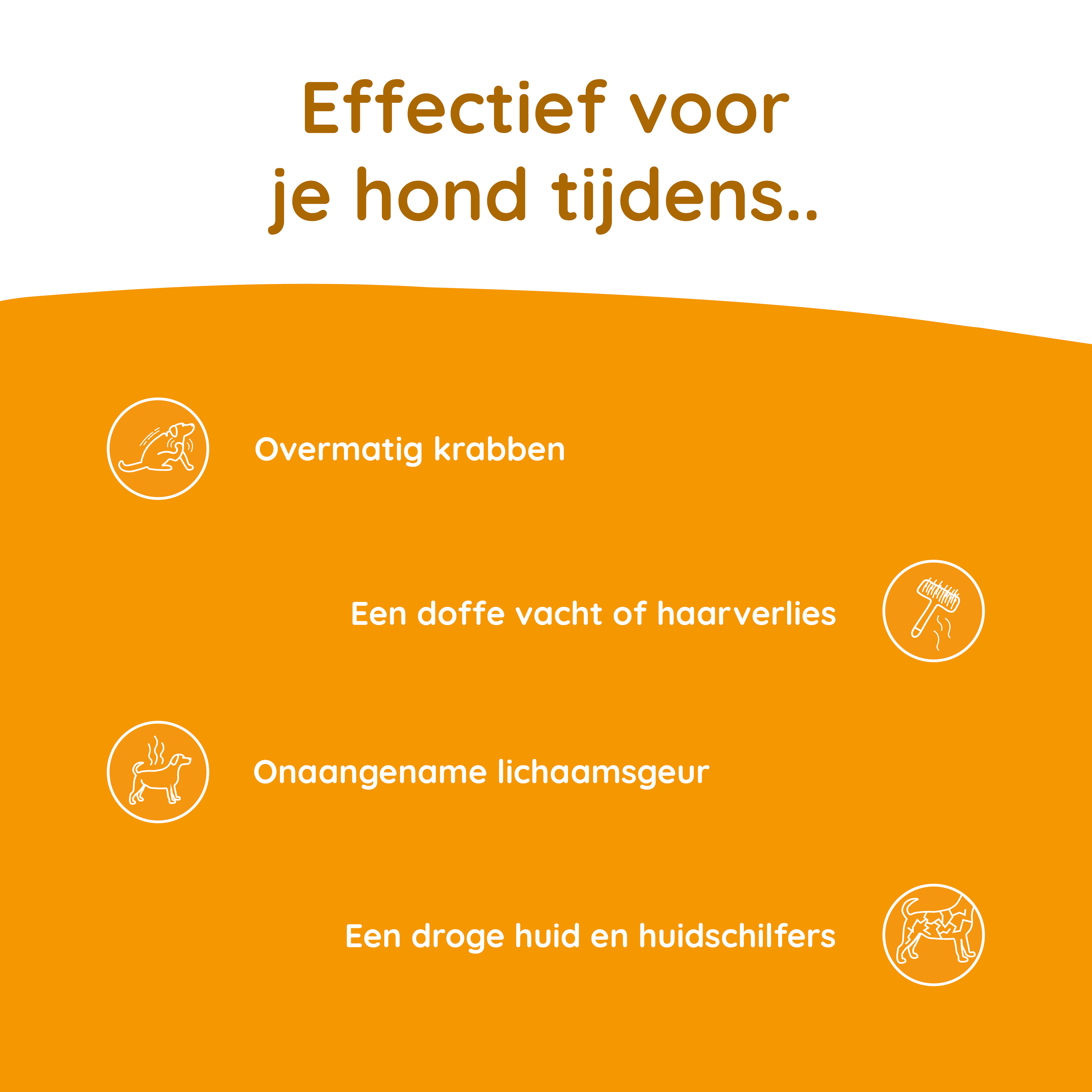Greenfields Skin+ Huid Hond 250 ml