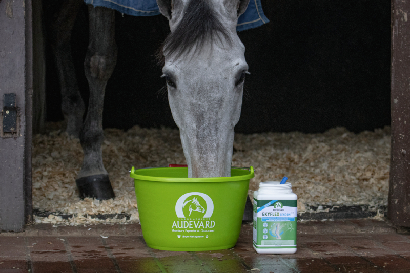 Audevard Ekyflex Tendon EVO Pezen Ligamenten Paard Audevard Ekyflex Tendon EVO Pezen Ligamenten Paard