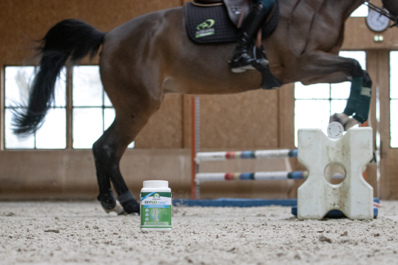 Audevard Ekyflex Tendon EVO Pezen Ligamenten Paard Audevard Ekyflex Tendon EVO Pezen Ligamenten Paard