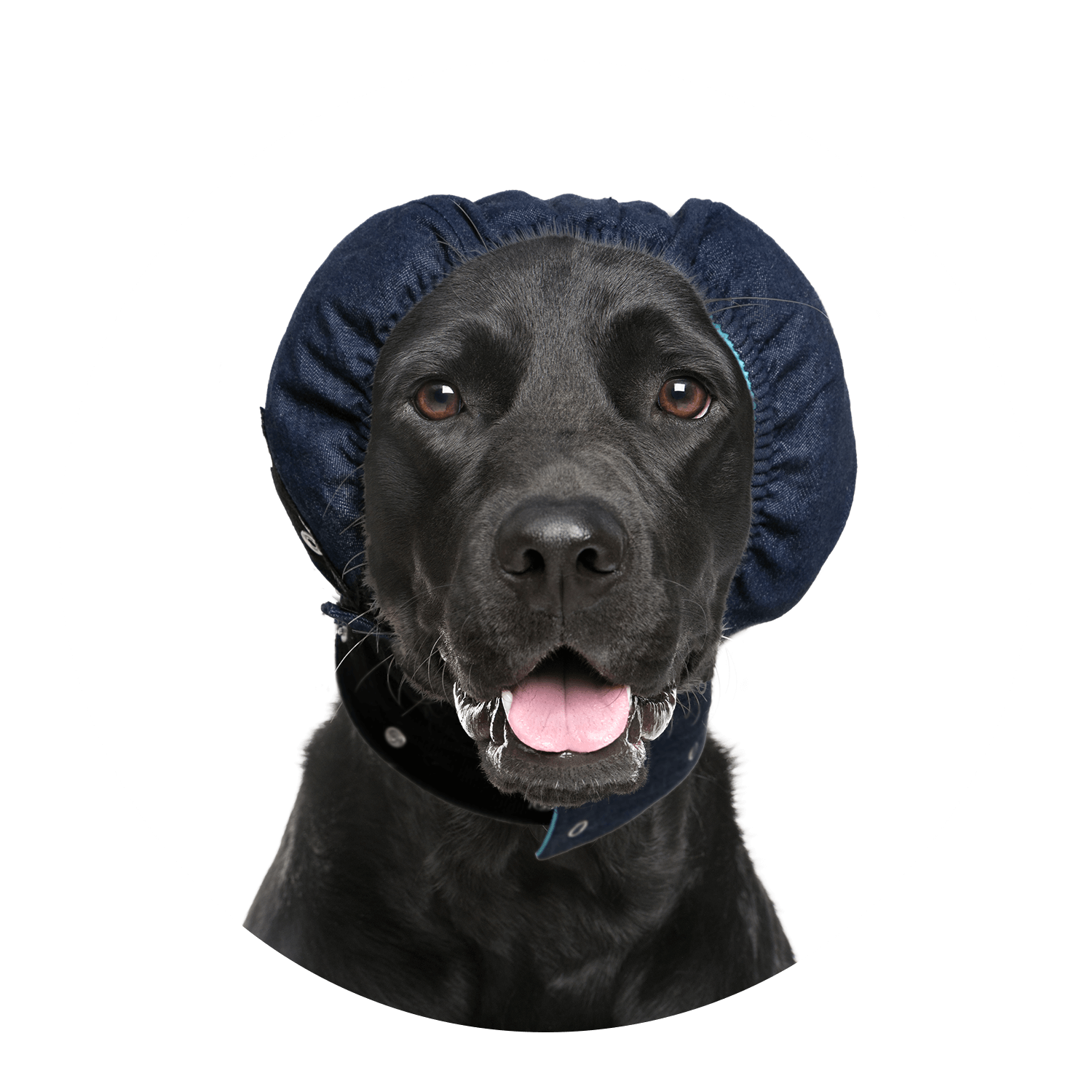 MPS-Head Cover Hond 