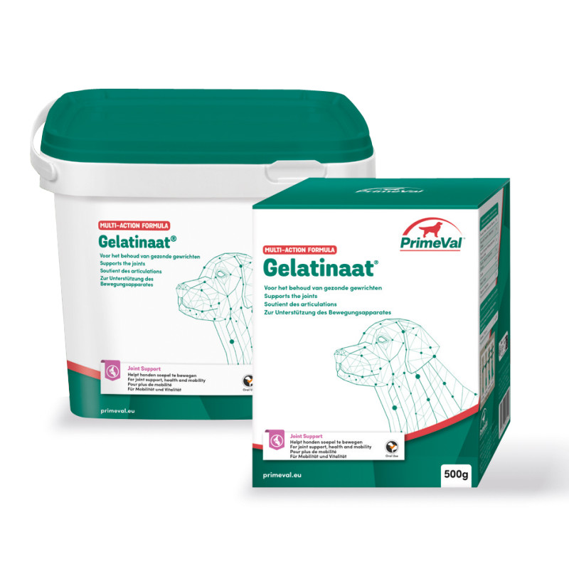 Primeval Gelatinaat Hond