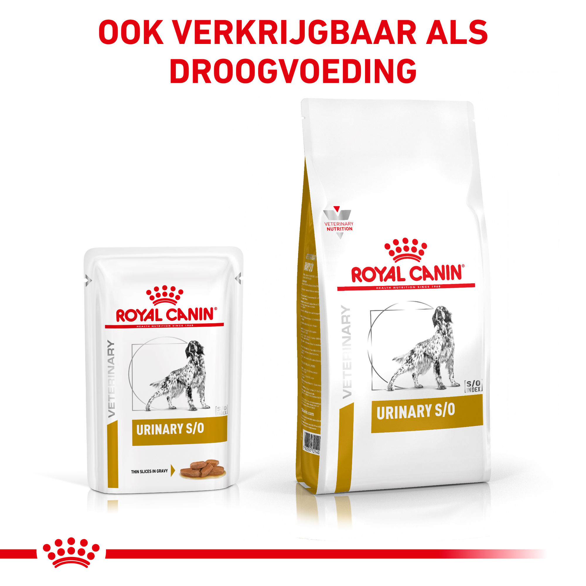 Royal Canin Urinary S/O Hond 12 x 100 gram maaltijdzakjes - Thin slices in gravy