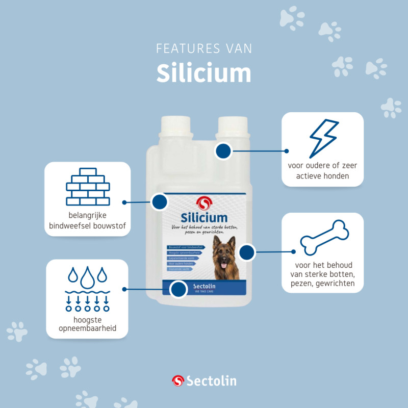 Sectolin Silicium Hond 500 ml
