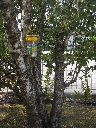 Flybuster vliegen systeem Garden Trap incl. 40 gram lokaas