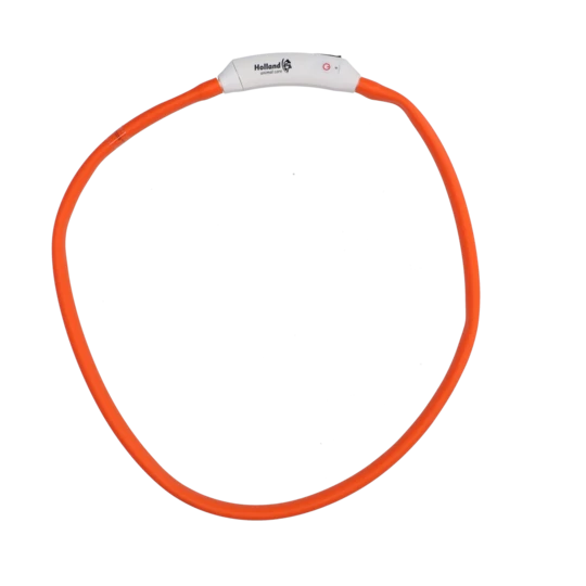 Nightwalk Safety Collar Halsband Hond