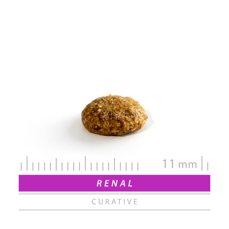 Sanimed Renal Kat 
