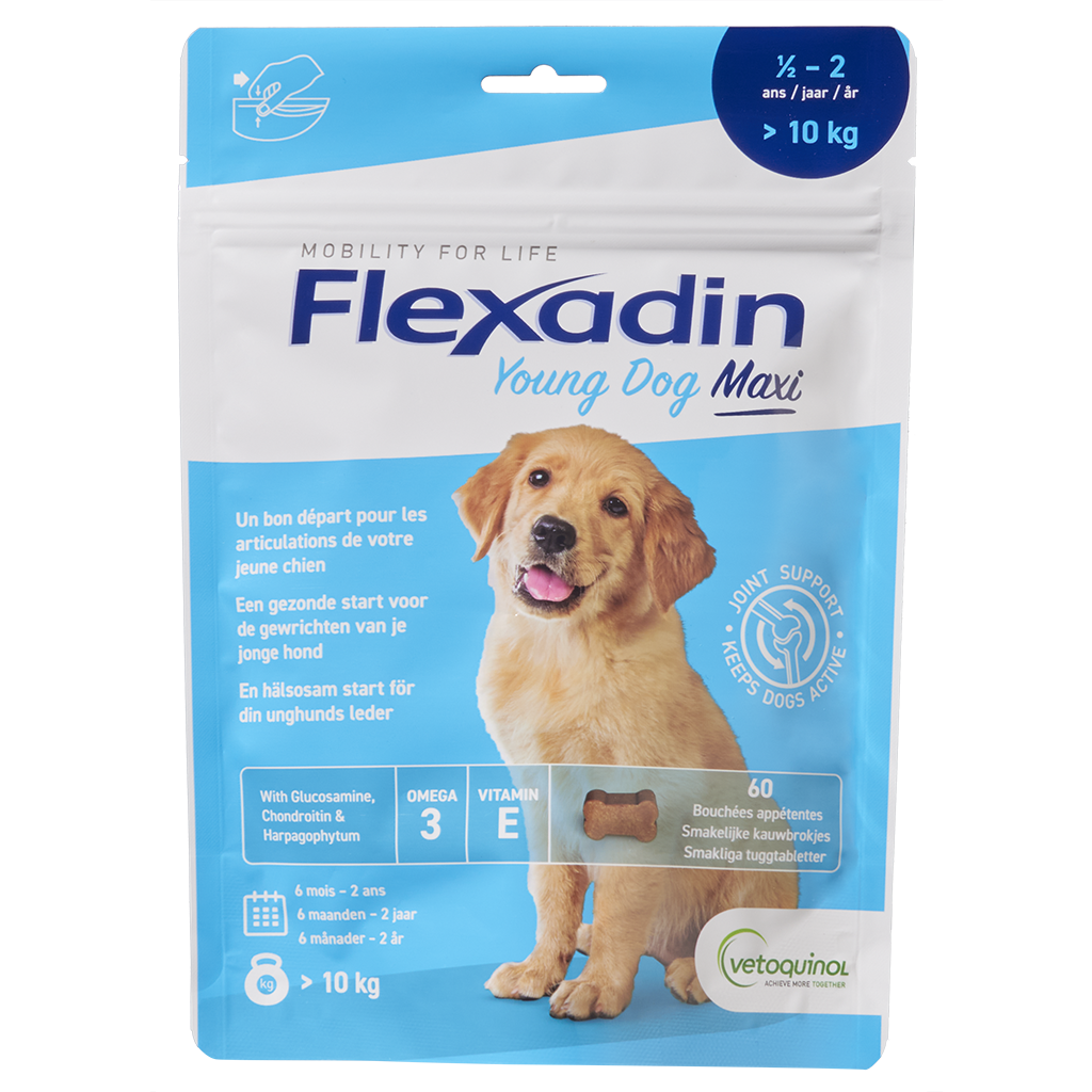 Flexadin Young Dog Maxi - 60 Kauwbrokjes