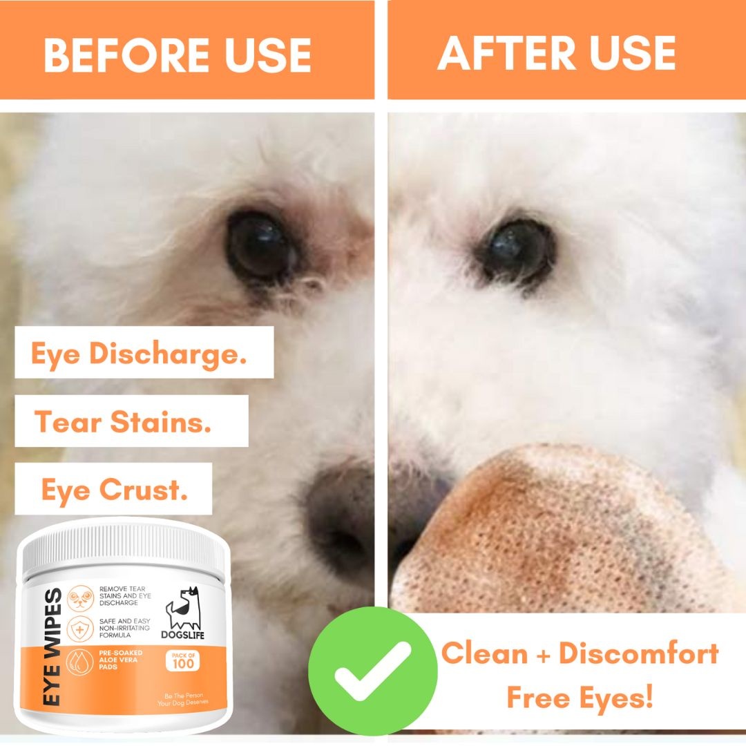 DogsLife Eye Wipes Hond 100 stuks