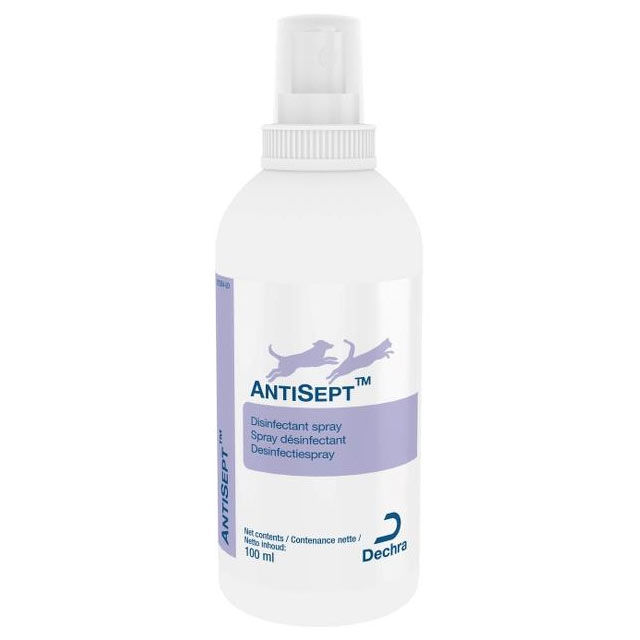 AntiSept Desinfectiespray 100 ml 