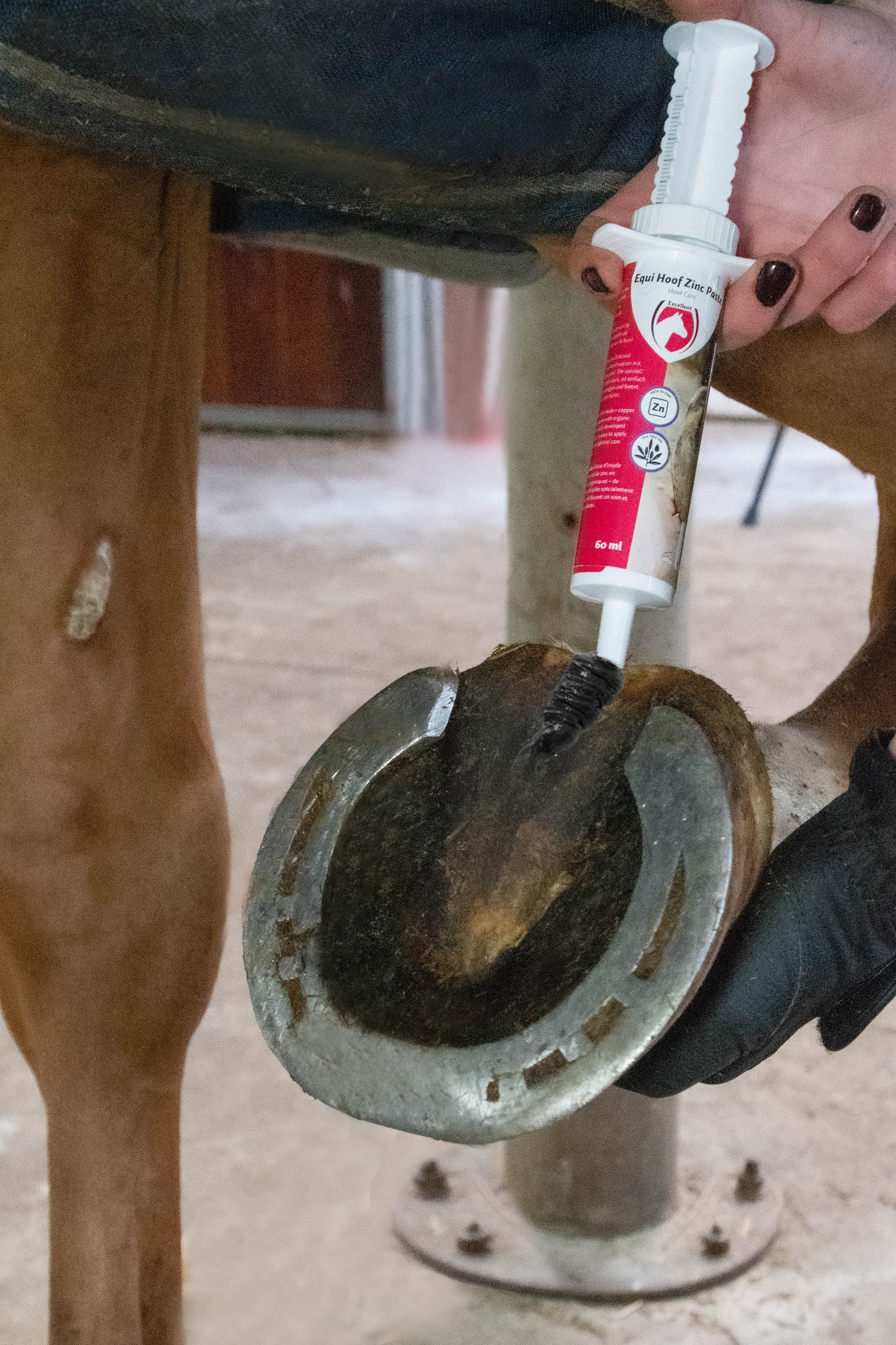 Excellent Equi Hoof Zink Pasta 60 ml 