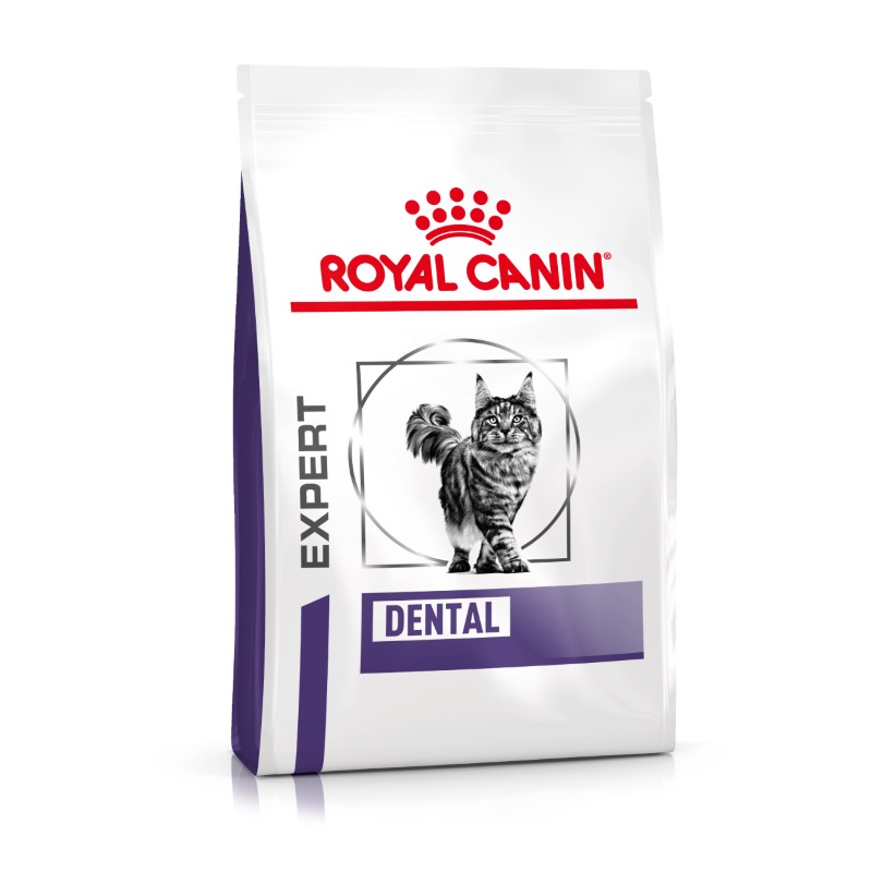 Royal Canin Dental Kat
