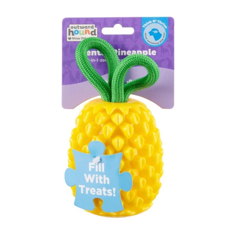 Outward Dental Pineapple  Hond 