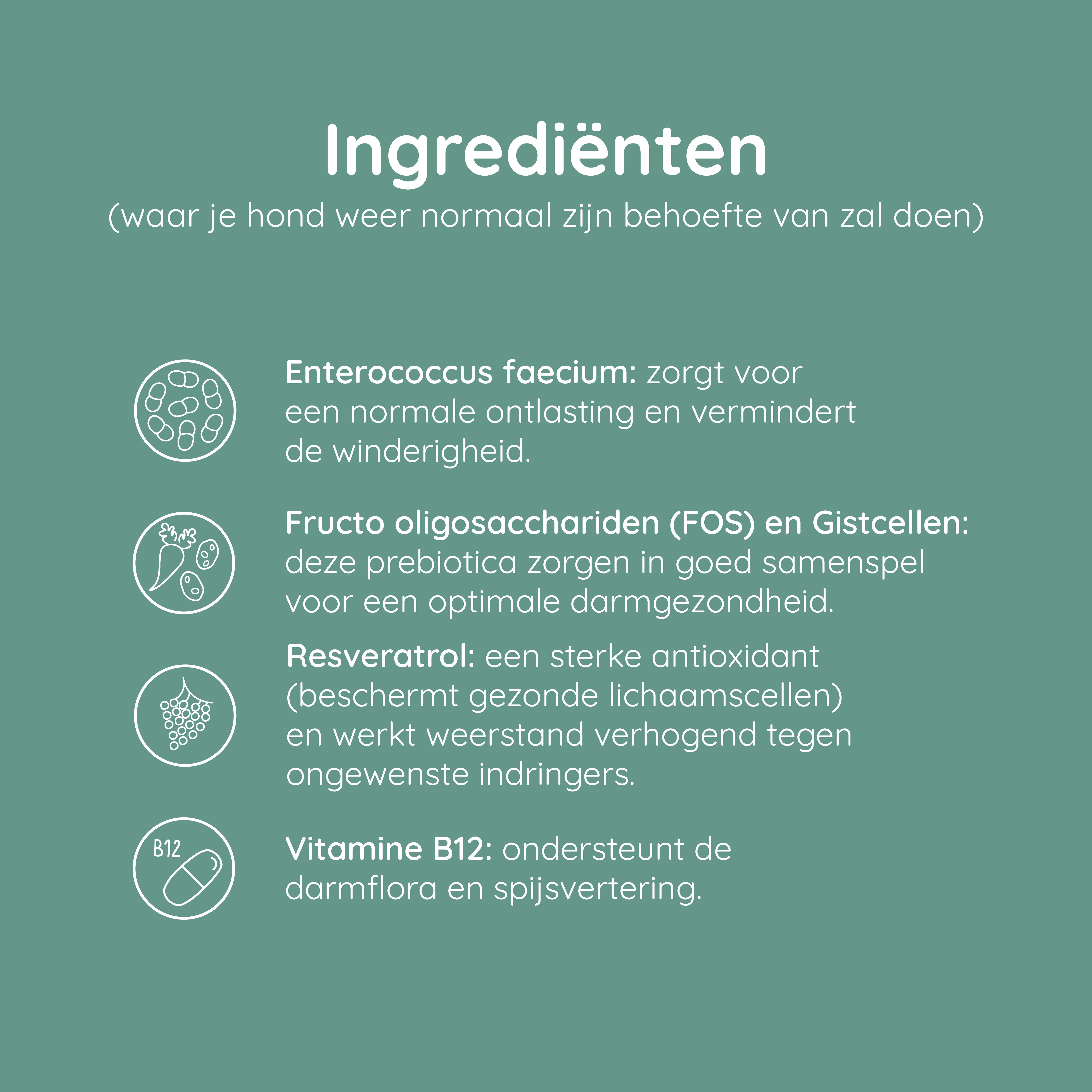 Greenfields Probiotics+ Hond 60 Capsules