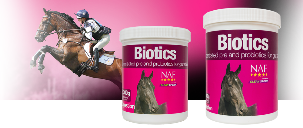 NAF Biotics – Pre- en probiotica voor darmgezondheid bij paarden, Persoon, Dier, Paard, Zoogdier