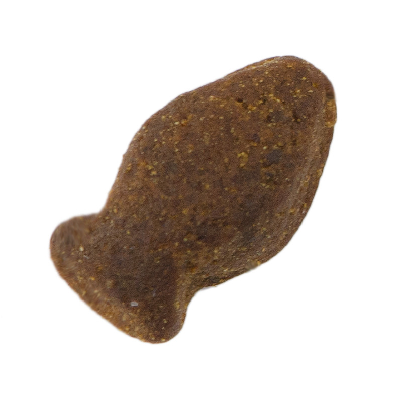 Dog Fish Treat 600 gram 