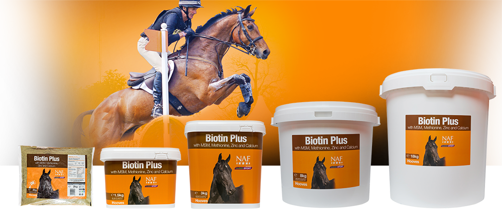NAF Biotine Plus – Supplement voor hoefgezondheid bij paarden, Volwassene, Mannelijk, Man, Persoon, Ruitersport