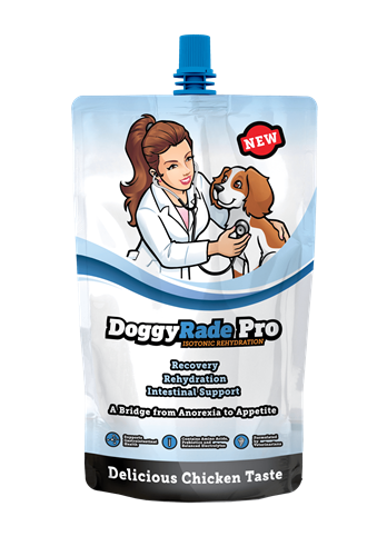 DoggyRade Pro Rehydratie Hond 500 ml