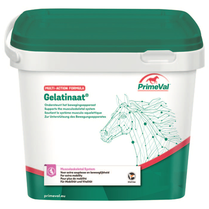 Primeval Gelatinaat Paard