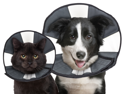ZenPet ProCone Soft Recovery Kraag 