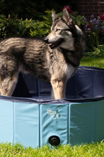 Coolpets Zwembad