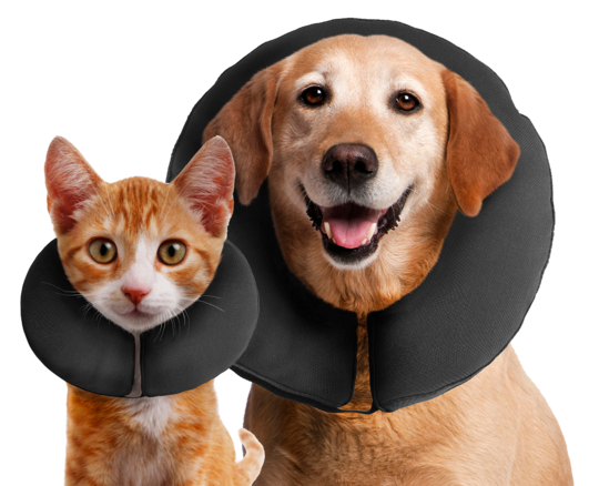 Zenpet Procollar Kraag 