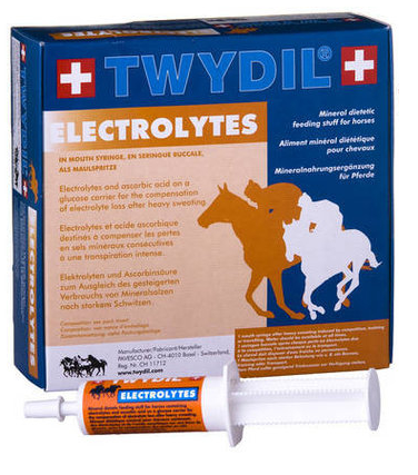 Twydil Electrolytes Pasta 50 gram injector 