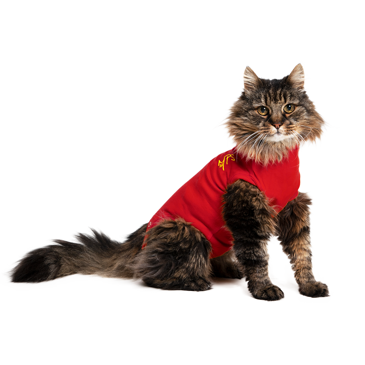 Medical Pet Shirt Kat