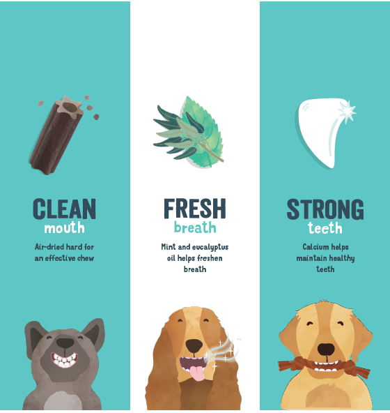 Edgard & Cooper Doggy Dental Sticks Hondensnack - Muntolie en Aardbei Edgard & Cooper Doggy Dental Sticks Hondensnack - Muntolie en Aardbei