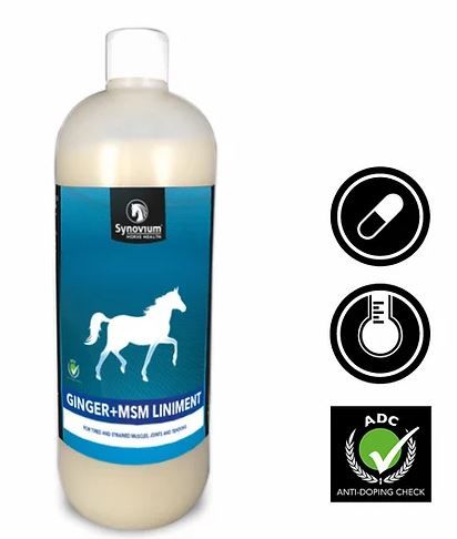 Synovium Ginger + MSM Liniment Beweging Paard 1000 ml, Fles, Shaker, Lotion, Shampoo