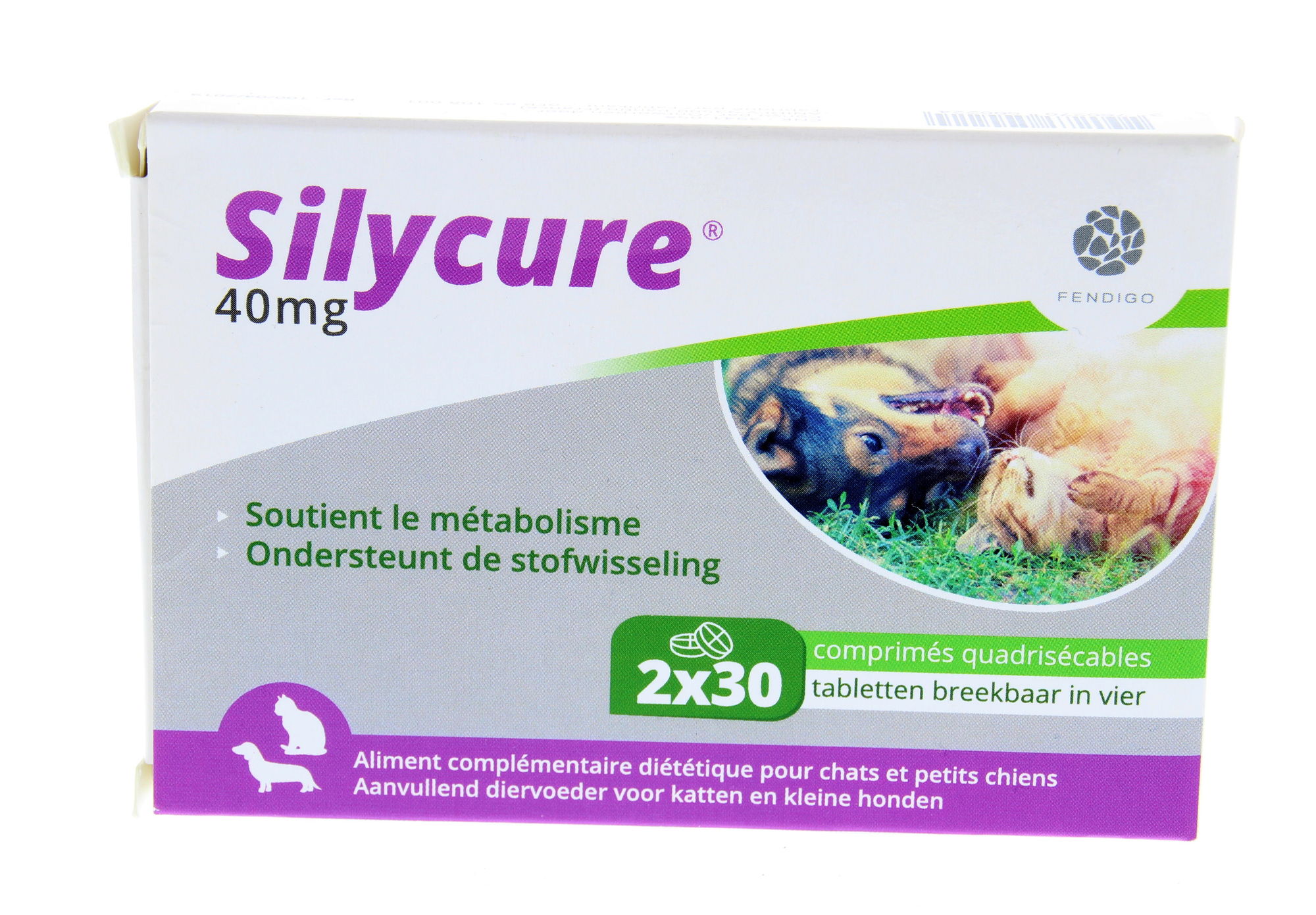Silycure Fendigo 2 x 30 tabletten - 40 mg