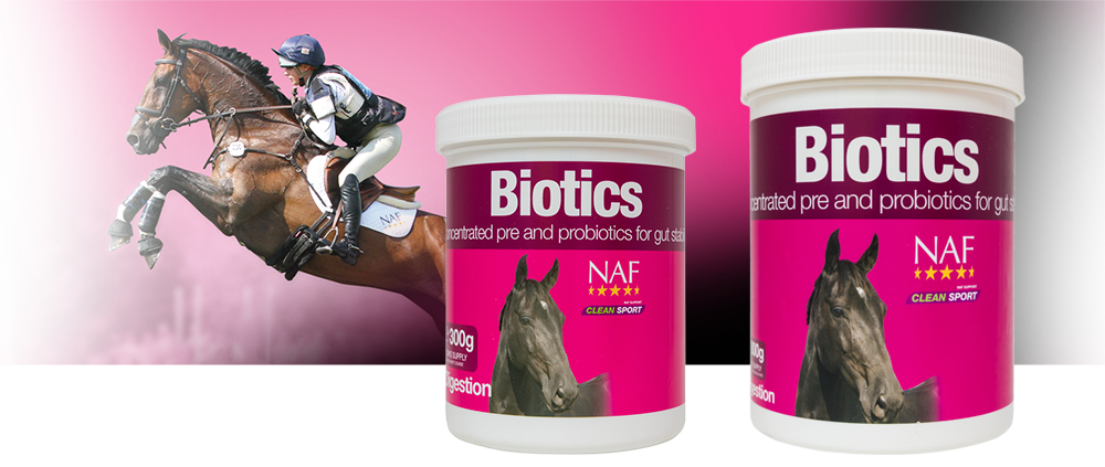 NAF Biotics – Pre- en probiotica voor darmgezondheid bij paarden