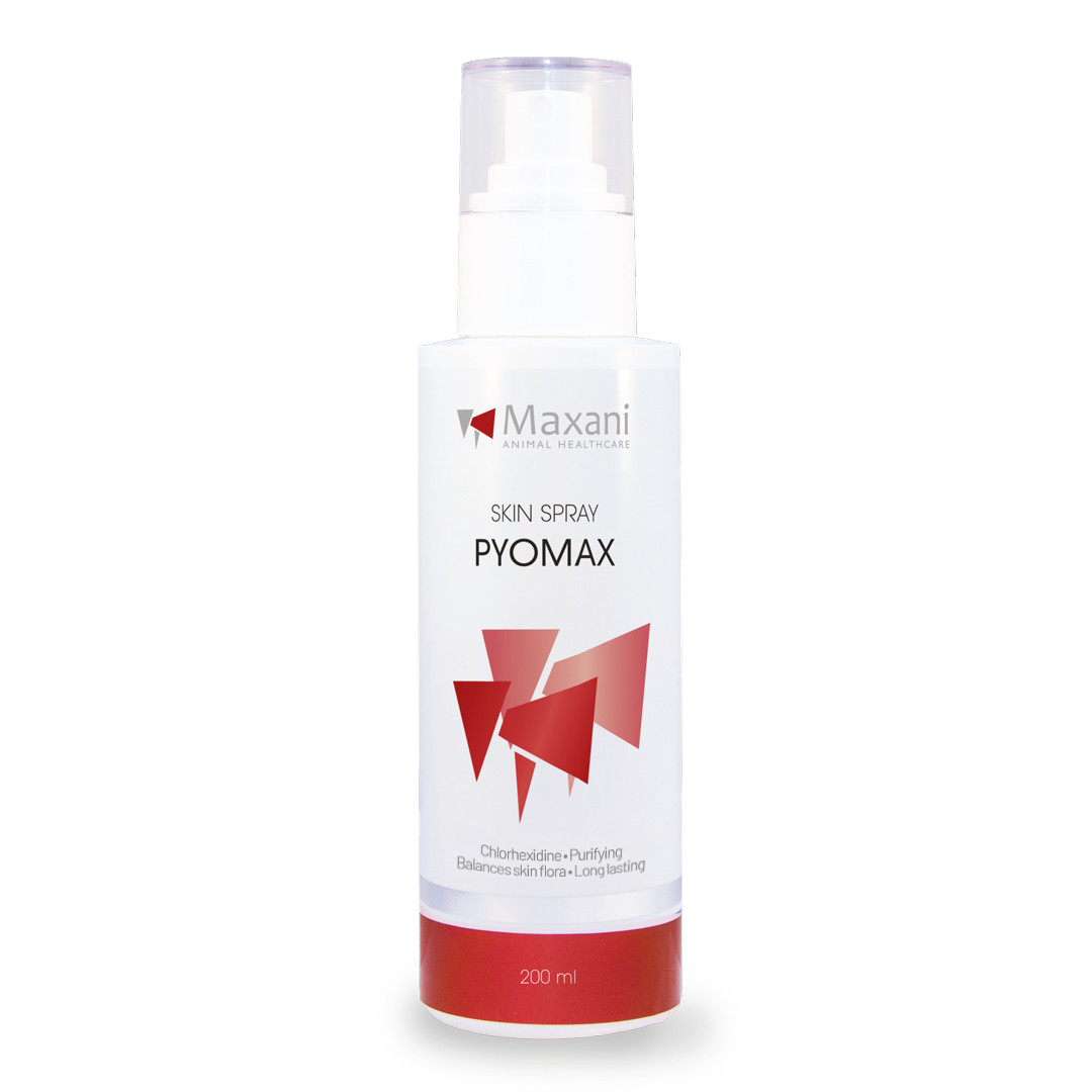 Maxani PyoMax Spray Hond Kat Paard 200 ml