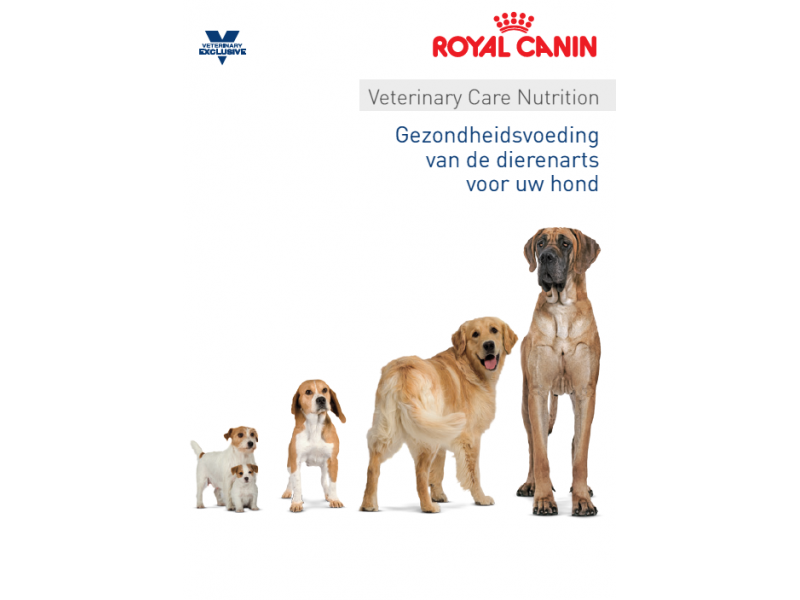 Royal Canin Adult Large Dog
