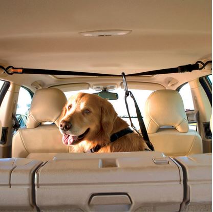 Kurgo Auto Zip Line Combo Hond 